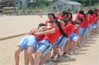 体育祭綱引き
